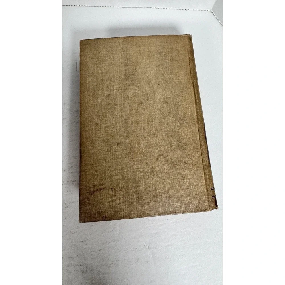 Gwen Wynn: A Romance of Wye Mayne Reid Hurst & Co. Decorative Binding